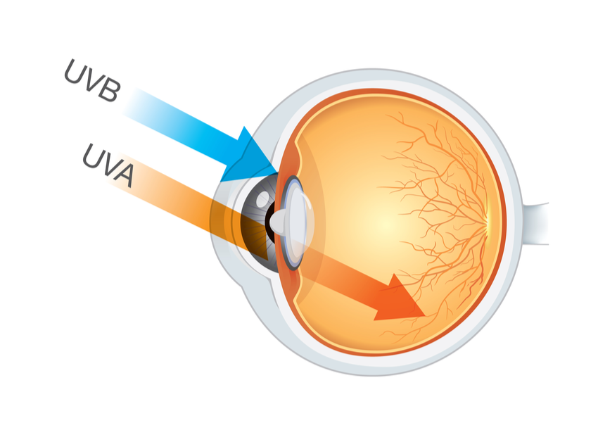 What Are The Risks Of UV Exposure?