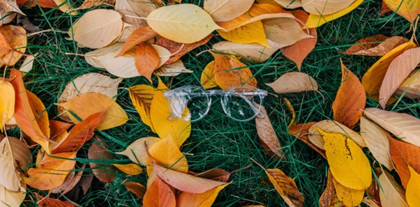 New Autumn Collections