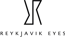 reykjavik eyes brand logo